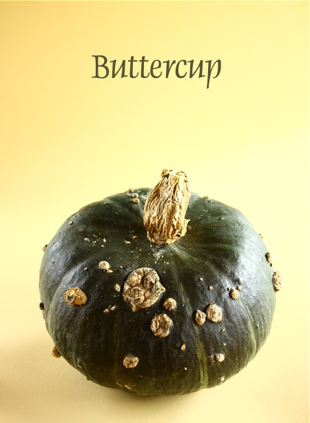 courgebuttercup